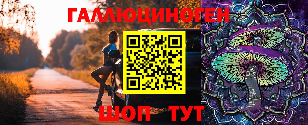 Галлюциногенные грибы Psilocybine cubensis  Вход с VPN  Урюпинск 